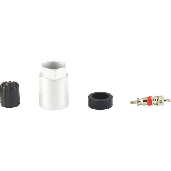 Coffret Master pour capteur RDKS / TPMS pour | Rangement atelier | Eki