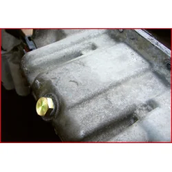 Bouchons de vidange M20x1 .5 mm . 10 | Vis bois | Ekibat