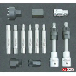 Module d'outils pour poulies débrayables d'alternateurs . 13pcs | Vis