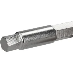 Embout d'extraction pour vis 6 pans creux 6 | Vis bois | Ekibat