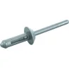 Rivets de rechange 17 .2 x 5 mm | Boulonnerie | Ekibat
