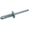 Rivets de rechange 15 .8 x 5 mm | Boulonnerie | Ekibat