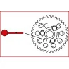 Jeu d'outils de calage moteur - Audi . | Vis bois | Ekibat