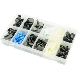 Assortiment d'agrafes pour Fiat . 308 pcs KSTOOLS | Chevilles & Ancrag