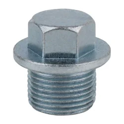 Bouchon de vidange M20 x 1 .5 x | Vis bois | Ekibat