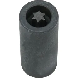 Douille pour vis TORX® pour disque de frein | Vis bois | Ekibat