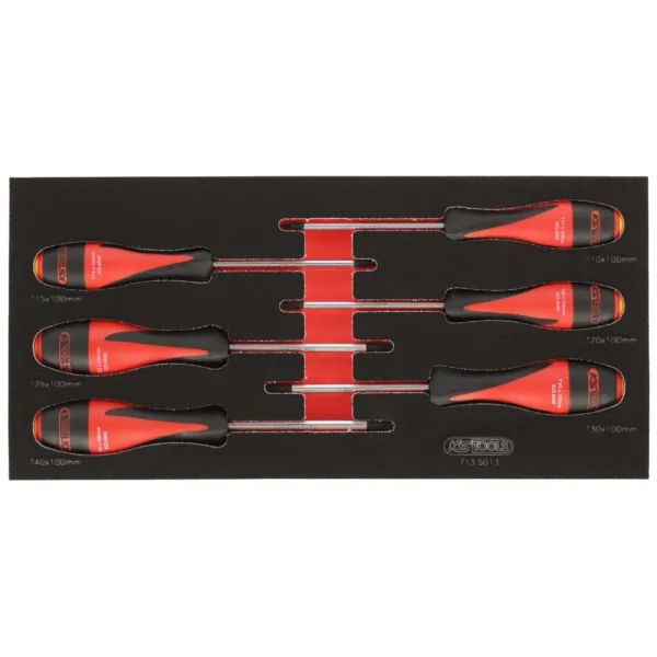 Module de tournevis ULTIMATE® TORX® . 6 pièces | Vis bois | Ekibat