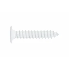 INDEX Vis à tôle, tête extraplate Blanche. Empreinte PH (4,2 x 22 500 pièces.) TCPB4222 | TCPB4222