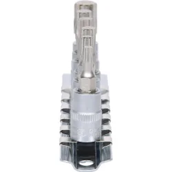 Rail de 6 douilles tournevis ULTIMATE XZN® 1/4'' | Vis bois | Ekibat
