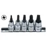Jeu de douilles tournevis MORTORq® 3/8" . 5 | Vis bois | Ekibat