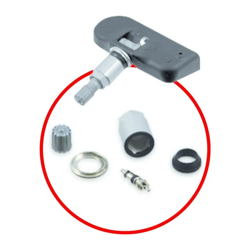 Coffret pour capteur RDKS/TPMS pour contrôle de la pression des pneus . 142 pcs KSTOOLS 149.0200 | 149.0200 Coffret pour capteur RDKS/TPMS pour contrôle de la pression des pneus . 142 pcs KSTOOLS 149.0200 | 149.0200
