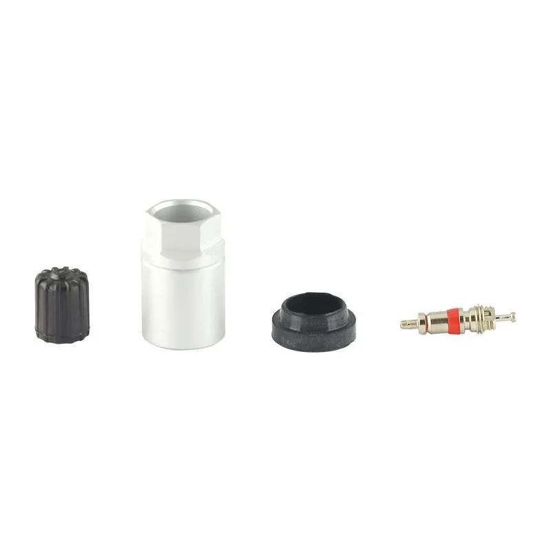 Coffret Master pour capteur RDKS /TPMS pour contrôle de la pression des pneus 10 KSTOOLS 149.1013 | 149.1013 Coffret Master pour capteur RDKS /TPMS pour contrôle de la pression des pneus 10 KSTOOLS 149.1013 | 149.1013