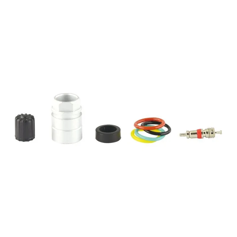 Coffret Master pour capteur RDKS /TPMS pour contrôle de la pression des pneus 14 KSTOOLS 149.1014 | 149.1014 Coffret Master pour capteur RDKS /TPMS pour contrôle de la pression des pneus 14 KSTOOLS 149.1014 | 149.1014