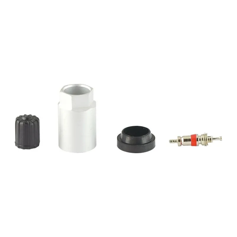 Coffret Master pour capteur RDKS /TPMS pour contrôle de la pression des pneus 15 KSTOOLS 149.1015 | 149.1015 Coffret Master pour capteur RDKS /TPMS pour contrôle de la pression des pneus 15 KSTOOLS 149.1015 | 149.1015