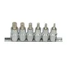 Rail de 6 douilles tournevis XZN® . L.55 | Vis bois | Ekibat