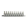 Rail de 10 douilles tournevis ULTIMATE® TORX® percé | Vis bois | Ekiba