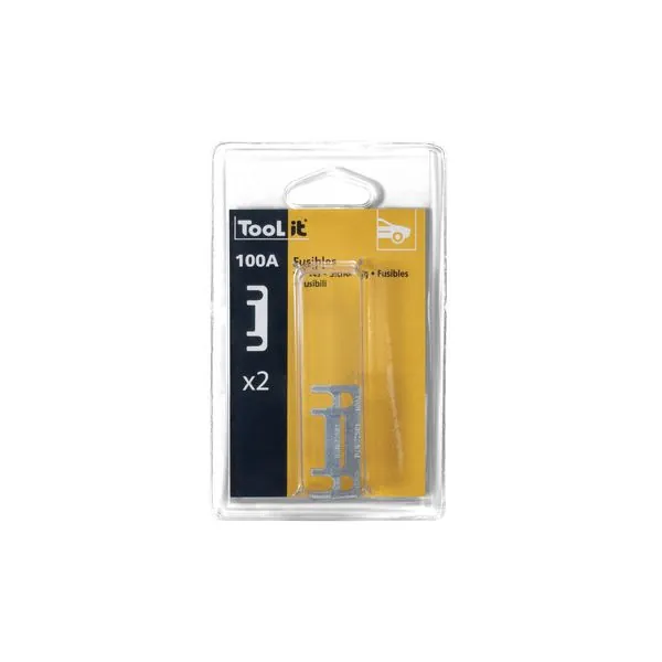 2 Fusibles 100&nbsp;A | TOOL IT