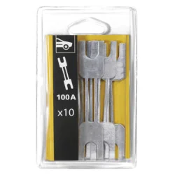 10 Fusibles 100&nbsp;A | TOOL IT