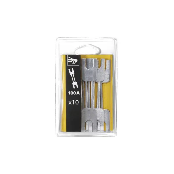10 Fusibles 100&nbsp;A | TOOL IT