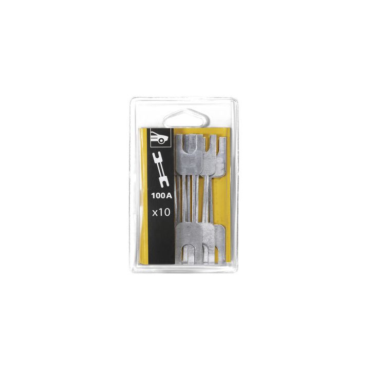 10 Fusibles 100 A | TOOL IT
