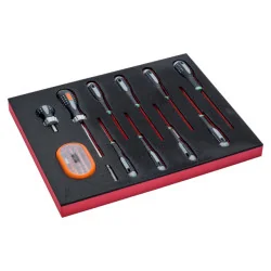 BAHCO Jeu de tournevis TORX®/embouts, module mousse 2/3