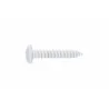 INDEX Vis à tole, tête bombée Blanche. Empreinte PH (4,2 x 13 500 pièces.) T814213BLE | T814213BLE